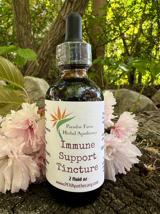 Immune Support Tincture | Organic